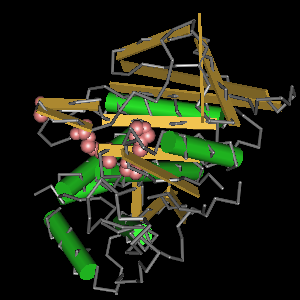 Conserved site includes 6 residues -Click on image for an interactive view with Cn3D