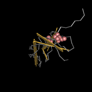 Conserved site includes 6 residues -Click on image for an interactive view with Cn3D