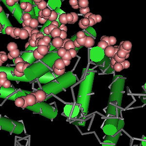 Conserved site includes 15 residues -Click on image for an interactive view with Cn3D