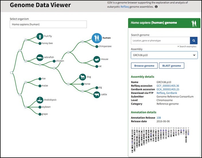 Genome Data Viewer Homepage