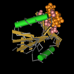 Conserved site includes 10 residues -Click on image for an interactive view with Cn3D