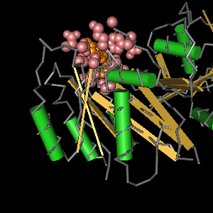 Conserved site includes 18 residues -Click on image for an interactive view with Cn3D