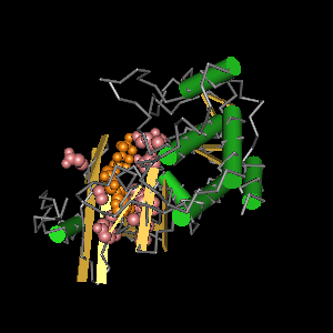 Conserved site includes 20 residues -Click on image for an interactive view with Cn3D