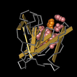 Conserved site includes 9 residues -Click on image for an interactive view with Cn3D