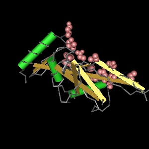 Conserved site includes 15 residues -Click on image for an interactive view with Cn3D